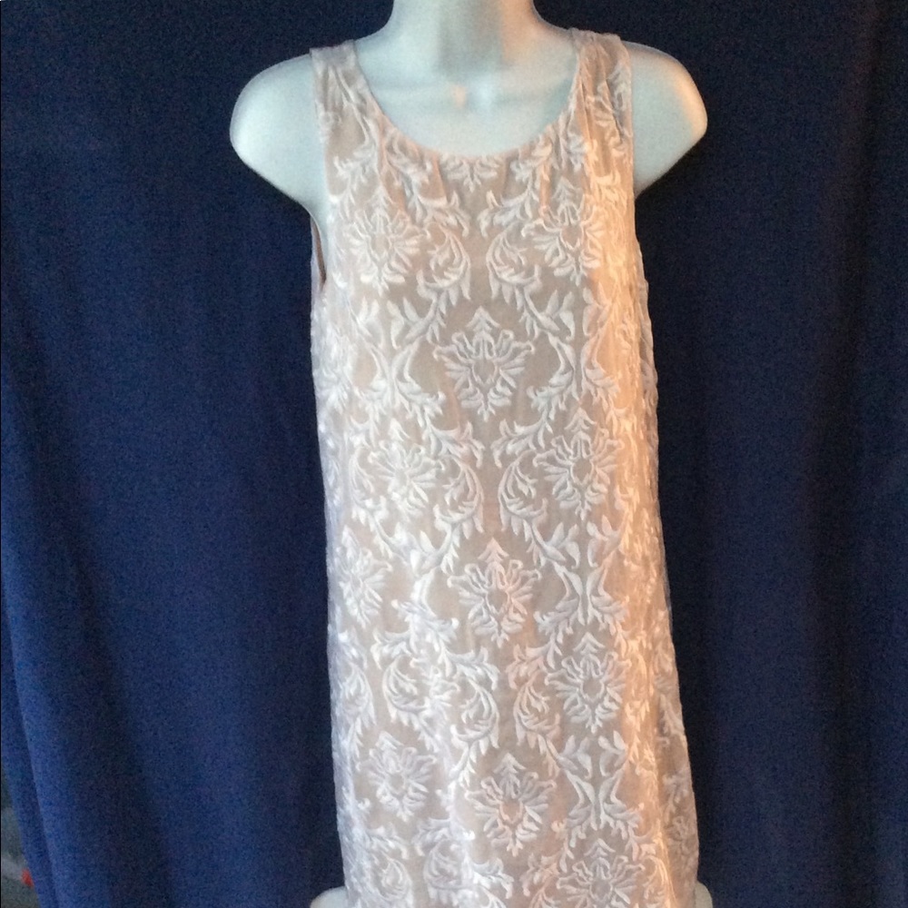 NWT Bailey 44